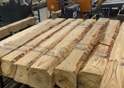 American Chestnut Lumber 11