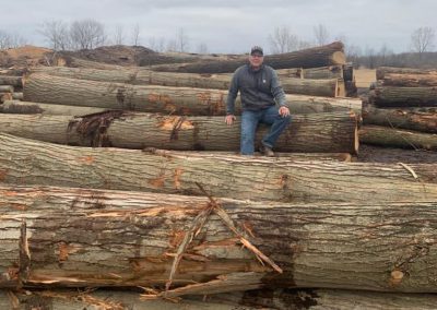 American Chestnut Lumber 12