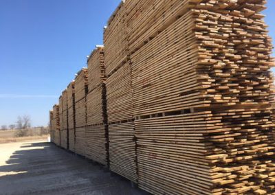 American Chestnut Lumber 14